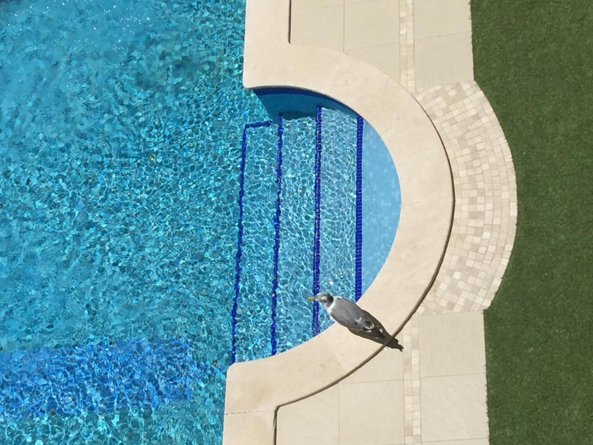 3 Min Walking To Peneco Beach Albufeira At Sol A Sul Apartments Ngoại thất bức ảnh